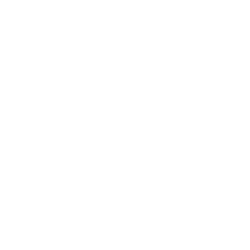 PROFESIONALIDAD SDLOG